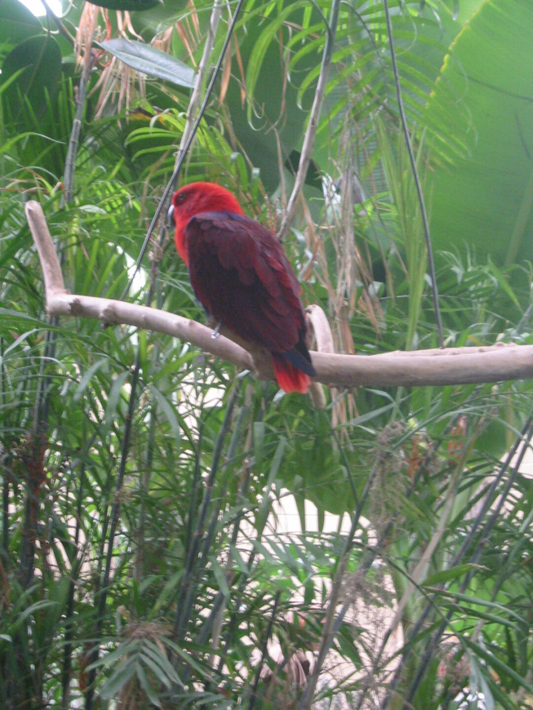 IMG_0633.JPG